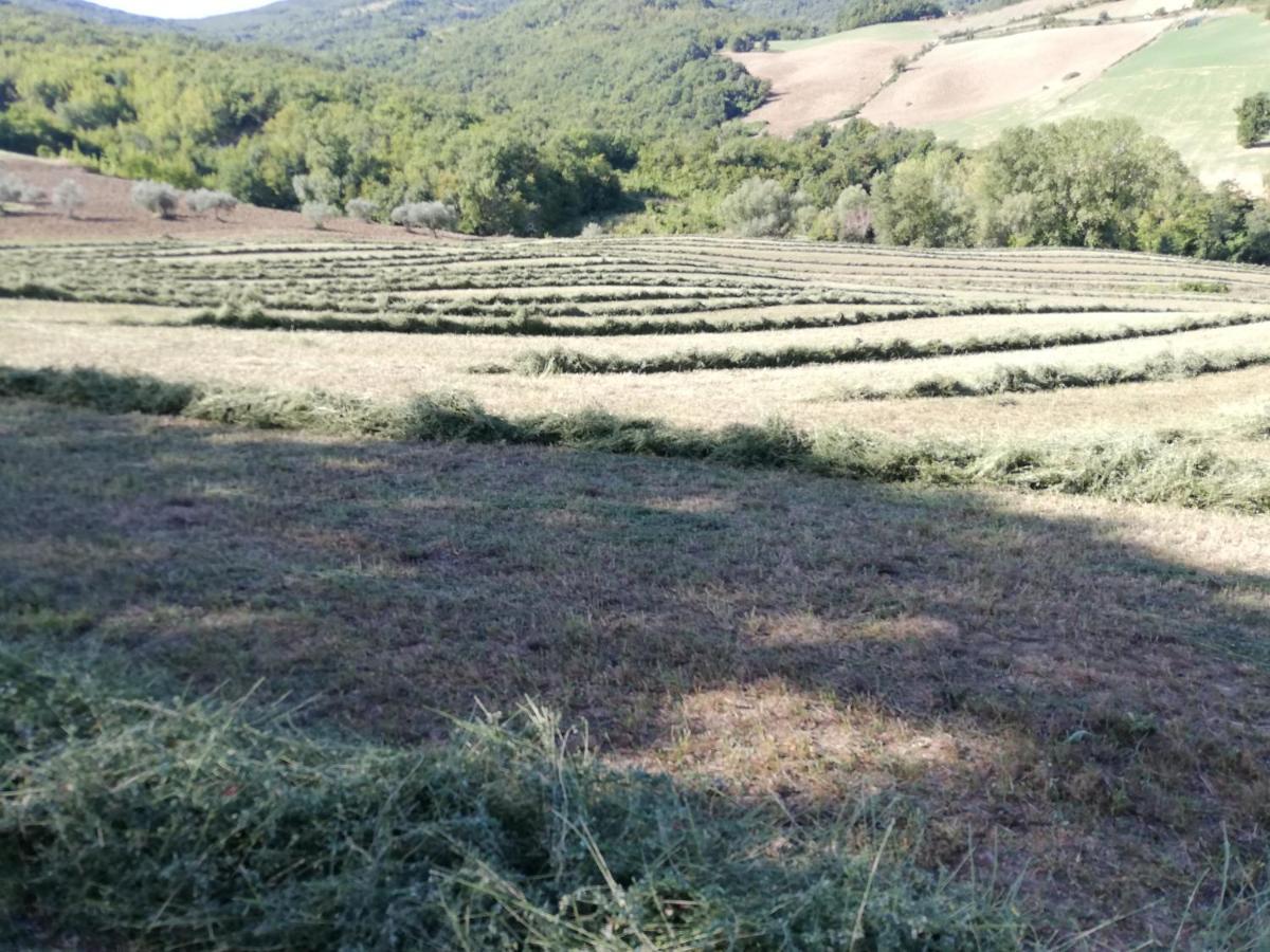 Casa A Montebello Di Bertona Con Vista Gran Sasso Εξωτερικό φωτογραφία